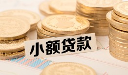 成都个人空放-成都个人个人短借-成都个人身份证小额贷款