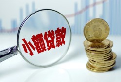 成都个人哪里可以小额贷款-成都个人哪里有民间借贷-成都个人民间短期私借借款