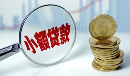 成都个人哪里可以小额贷款-成都个人哪里有民间借贷-成都个人民间短期私借借款